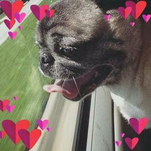 Meet your Posher, Savannah